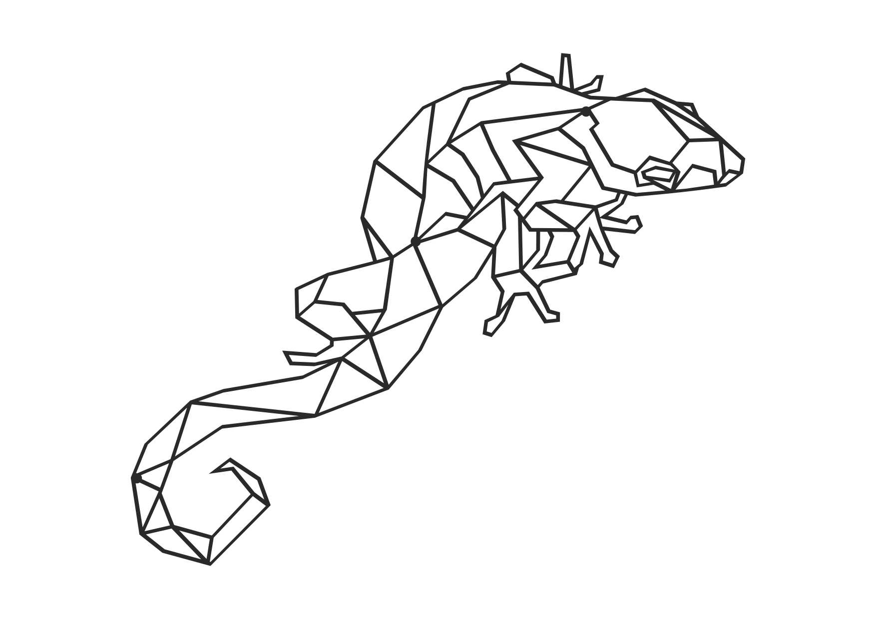 D4_90cm_czarna1,5mm Metal wall decoration Gecko 90 cm - Image 1