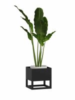 Plant Stand Loft Industrial S