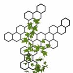 Metal wall decoration for climbing plants Hexagon 116x117 cm