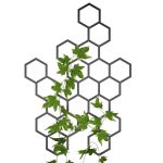 Trellis Hexagon 73x104 cm