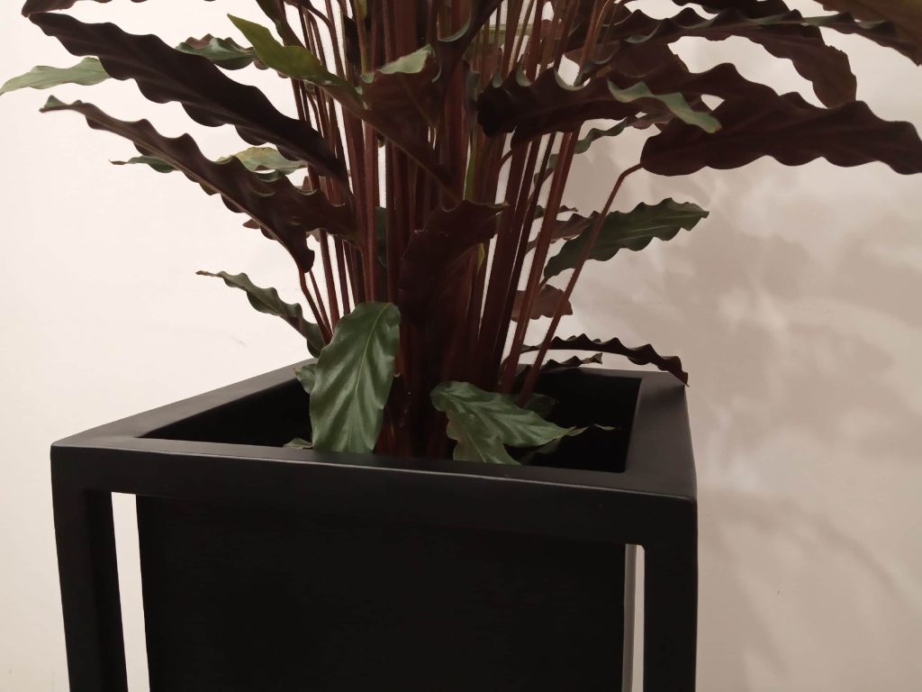 Plant Stand with Internal Pot 30x30x60 - Image 3