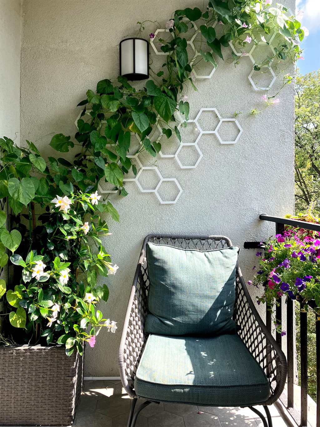 Trellis Hexagon 73x104 cm - Image 3