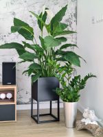 Flower Stand with Deep Pot 30x30x60 - Image 2