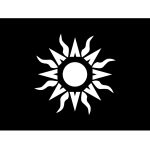 Przęsło ogrodzeniowe Gaia 200×135 cm