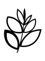 Wall Trellis Floral M 55x67 cm