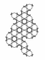 Climbing Plants Trellis Esso L 62x98 cm